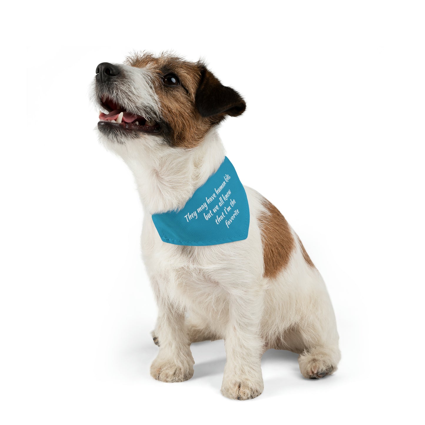 "They May Have Human Kids, But We All Know That I'm the Favorite" Dog Bandana Collar