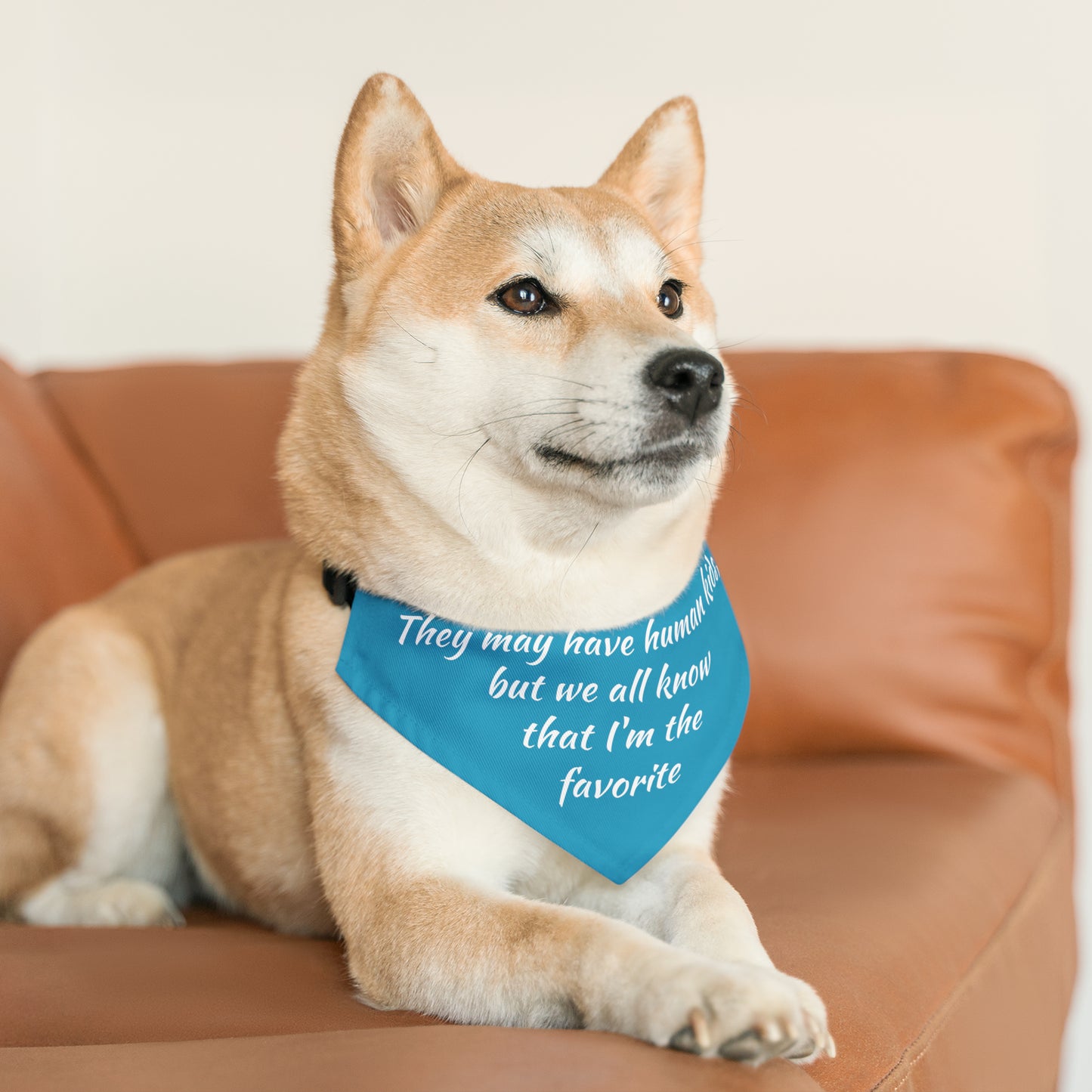"They May Have Human Kids, But We All Know That I'm the Favorite" Dog Bandana Collar