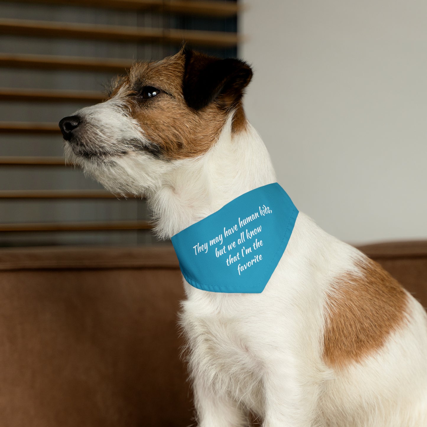 "They May Have Human Kids, But We All Know That I'm the Favorite" Dog Bandana Collar