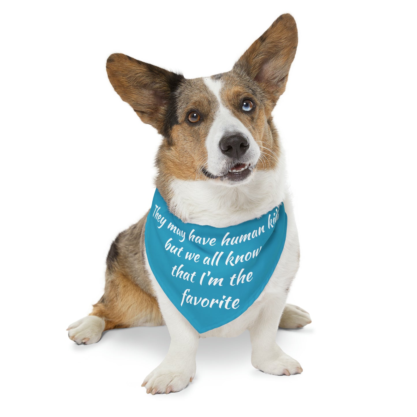 "They May Have Human Kids, But We All Know That I'm the Favorite" Dog Bandana Collar