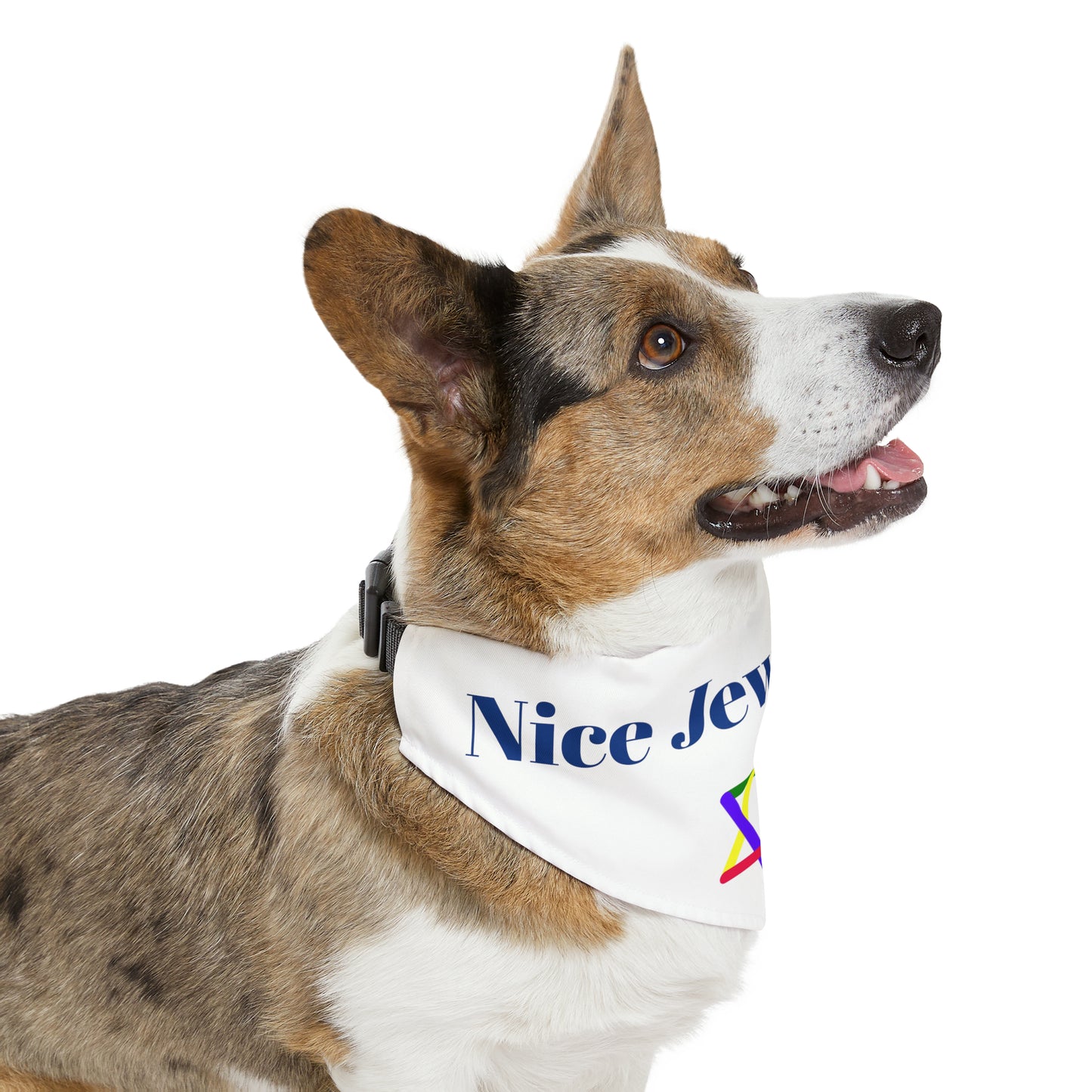 "Nice Jewish Boy" Dog Bandana with Jewish Star