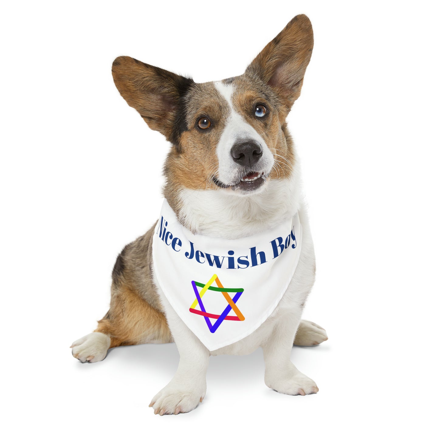 "Nice Jewish Boy" Dog Bandana with Jewish Star