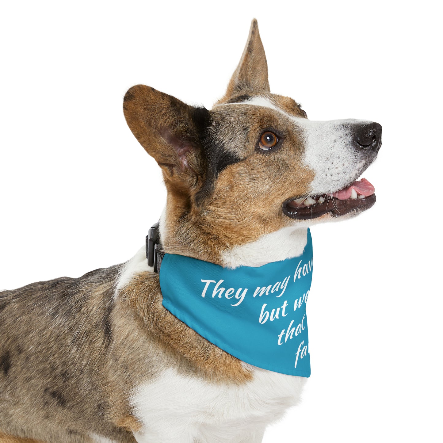 "They May Have Human Kids, But We All Know That I'm the Favorite" Dog Bandana Collar