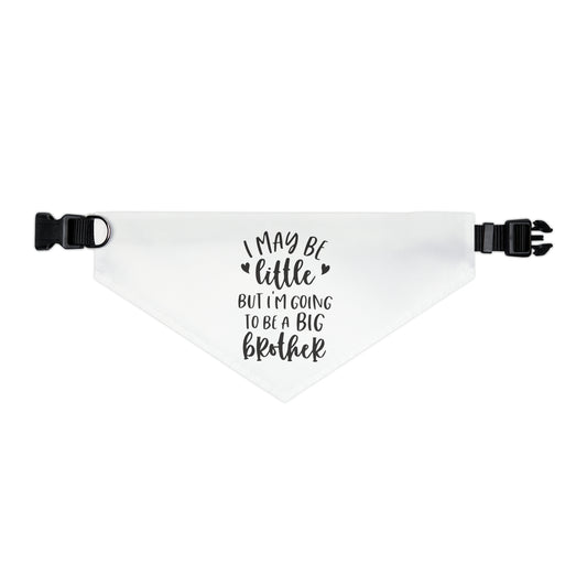 "I May Be Little But I'm Going To Be A Big Brother" Dog Bandana Collar