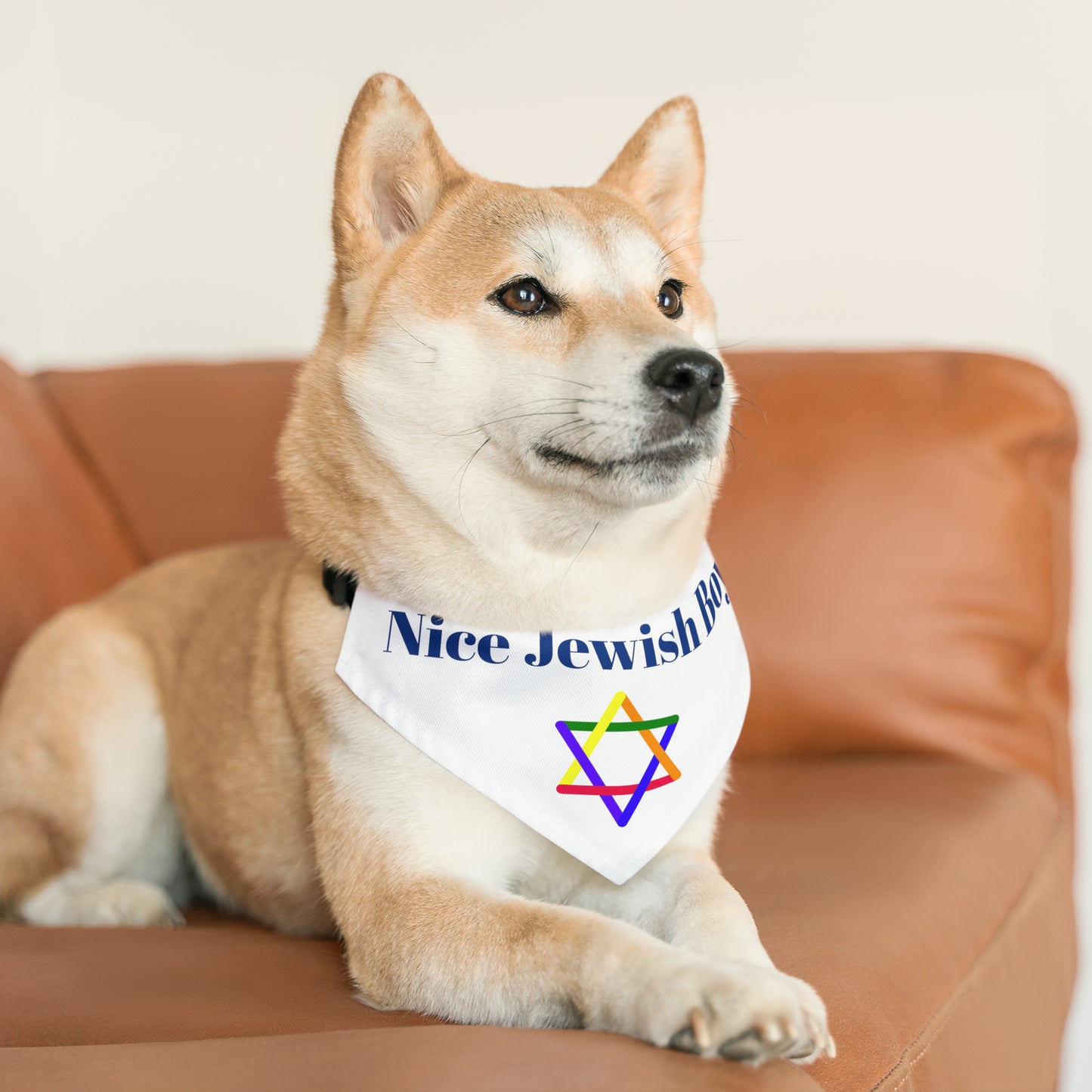 "Nice Jewish Boy" Dog Bandana with Jewish Star