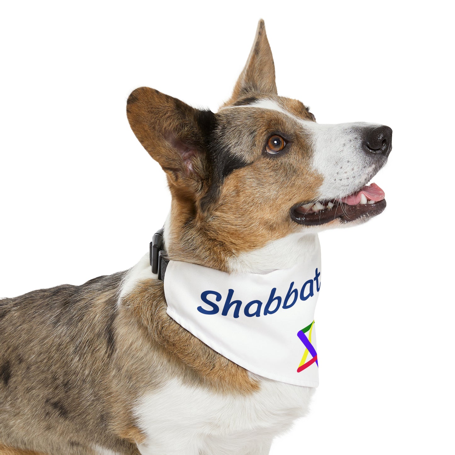 "Shabbat Shalom" Dog Bandana Collar