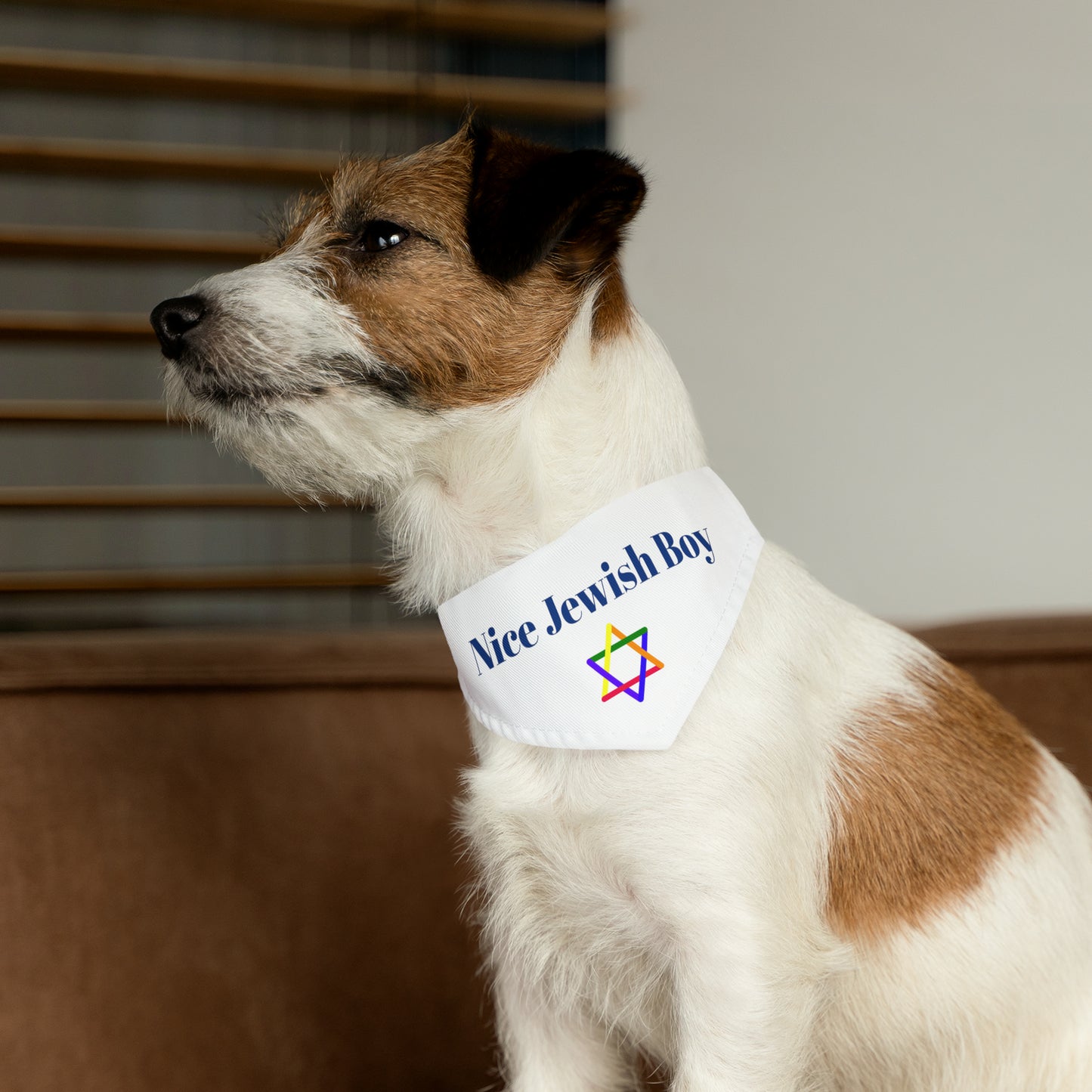 "Nice Jewish Boy" Dog Bandana with Jewish Star