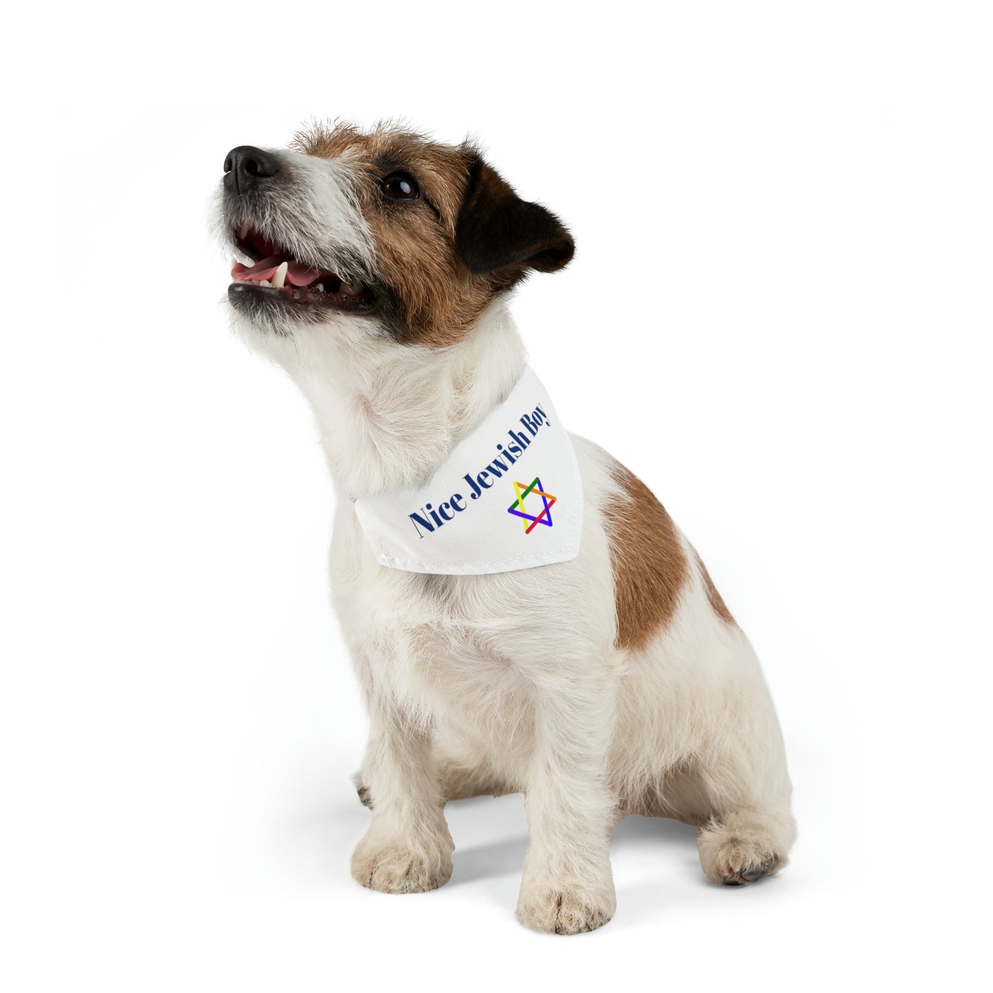 "Nice Jewish Boy" Dog Bandana with Jewish Star